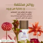 woroud - shower gel - roll on - deodroent - hair care - serum - oil - soaps - ورود - زيت شعر - عنايه بالشعر - عنايه بالبشرة - مزيل عرق - شاور جل - منتجات - سيرم - منتجات مصريه - مصرى 100%- زيوت طبيعيه